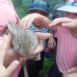 phoca_thumb_m_vychzky 50 Fotogalerie